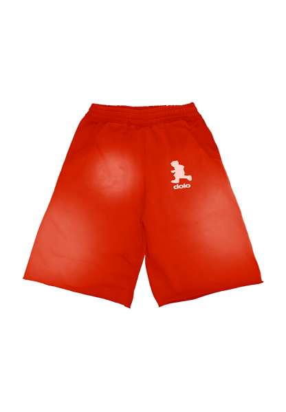Dolo Baggy Long Shorts