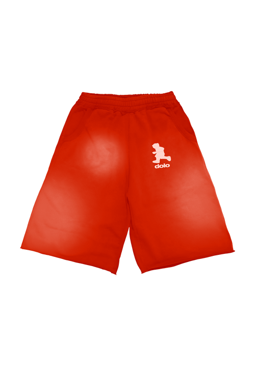 Dolo Baggy Long Shorts